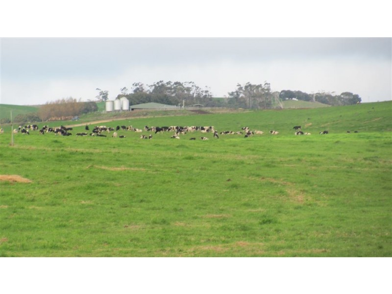 79 Wagners Road, Winnaleah TAS 7265