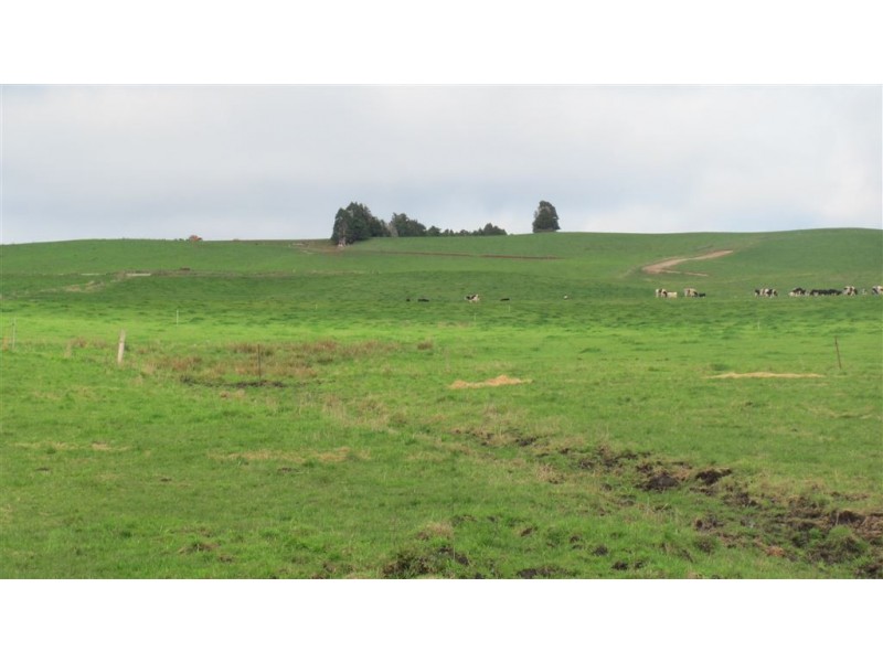 79 Wagners Road, Winnaleah TAS 7265