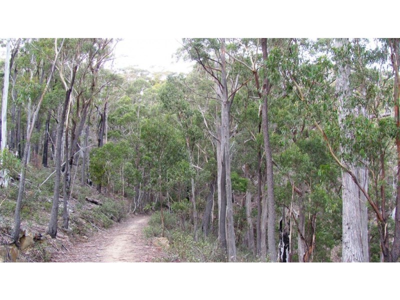 . Henry Street, Mangana TAS 7214
