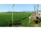473 Green Rises Road, Cressy TAS 7302