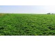 473 Green Rises Road, Cressy TAS 7302