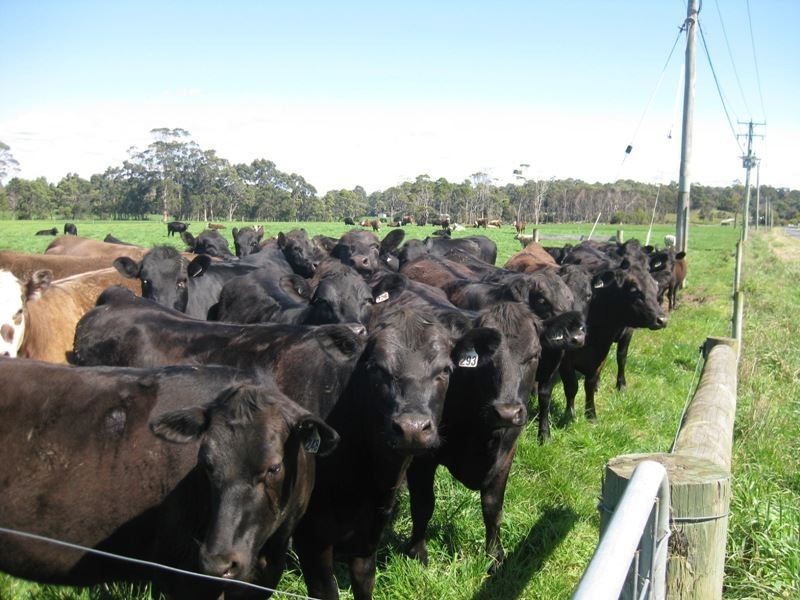 62 Blameys Road, Christmas Hills TAS 7330