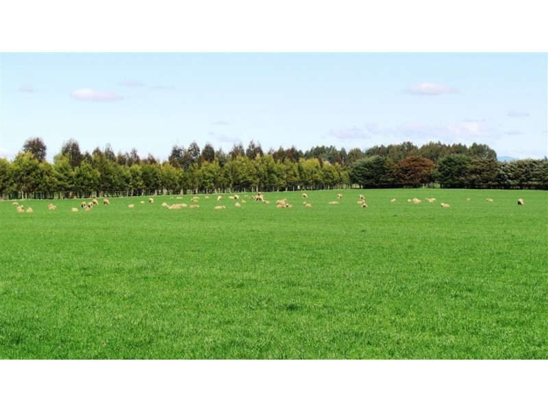 726 Bishopsbourne Road, Bishopsbourne TAS 7301