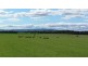 726 Bishopsbourne Road, Bishopsbourne TAS 7301
