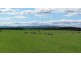 726 Bishopsbourne Road, Bishopsbourne TAS 7301