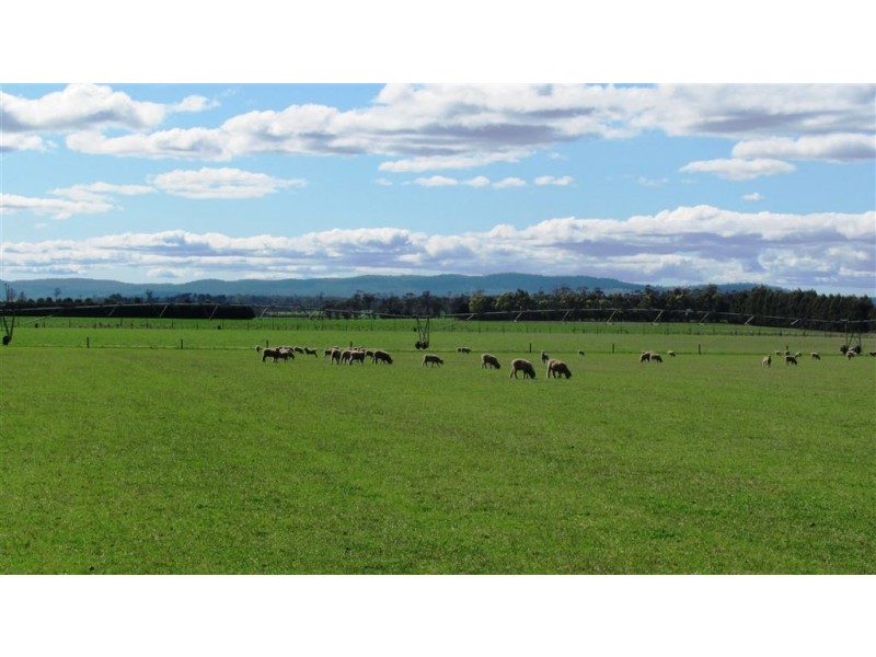 726 Bishopsbourne Road, Bishopsbourne TAS 7301
