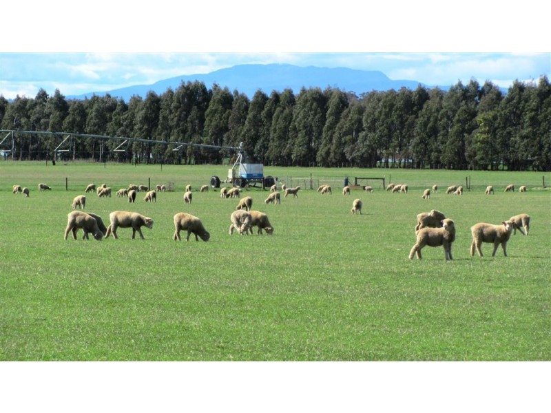 726 Bishopsbourne Road, Bishopsbourne TAS 7301