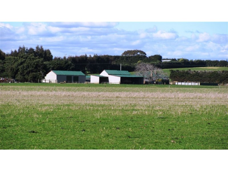 687 Bishopsbourne Road, Bishopsbourne TAS 7301