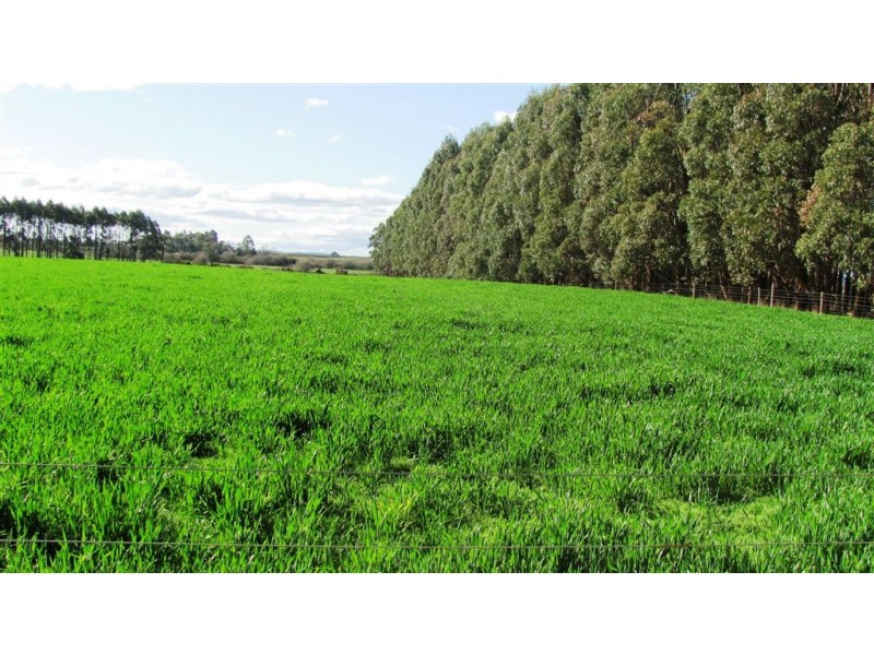 . Oaks Road, Bracknell TAS 7302