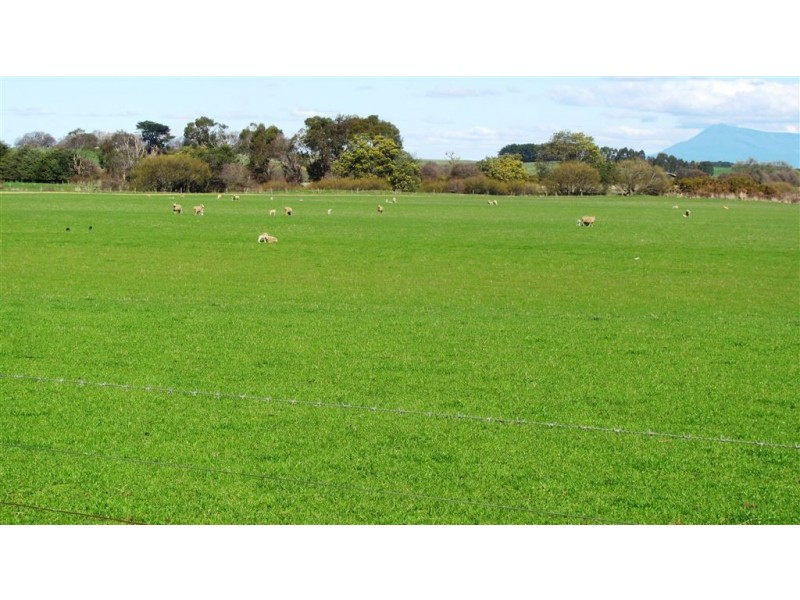 . Oaks Road, Bracknell TAS 7302