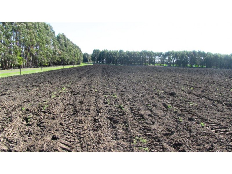 . Oaks Road, Bracknell TAS 7302