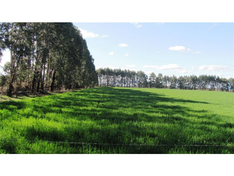 . Oaks Road, Bracknell TAS 7302