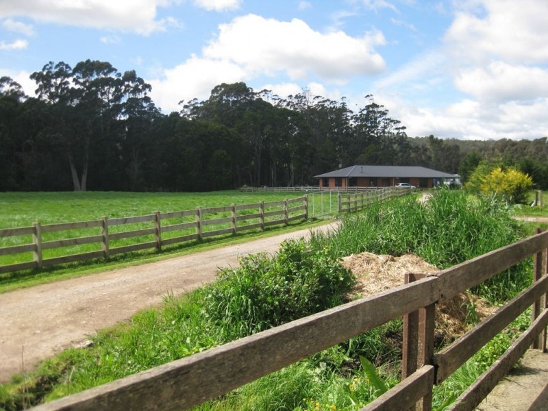 135 Poilinna Road, Edith Creek TAS 7330
