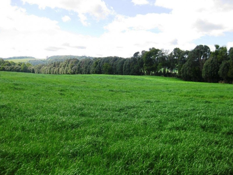 135 Poilinna Road, Edith Creek TAS 7330