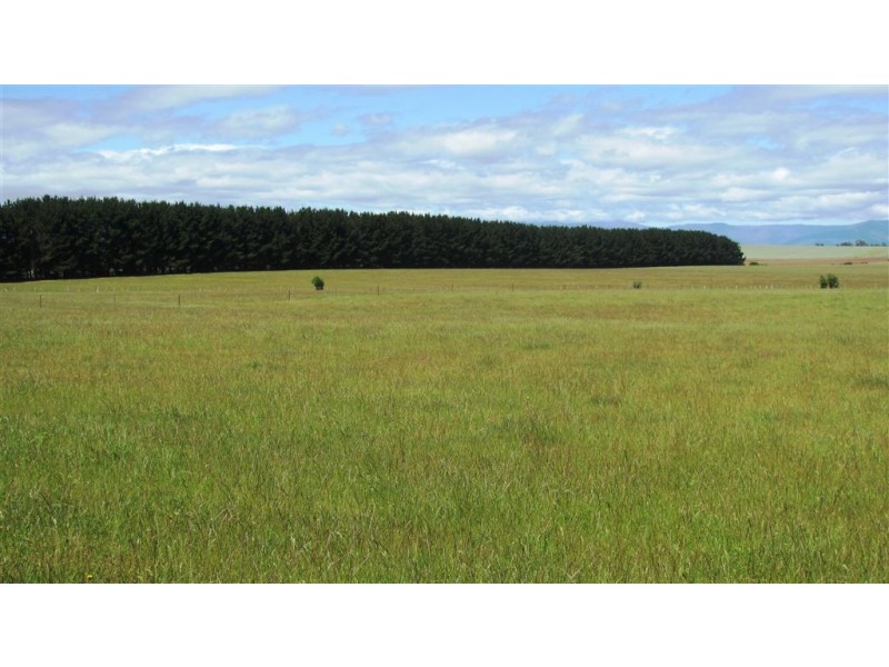 953 Illawarra Road, Longford TAS 7301