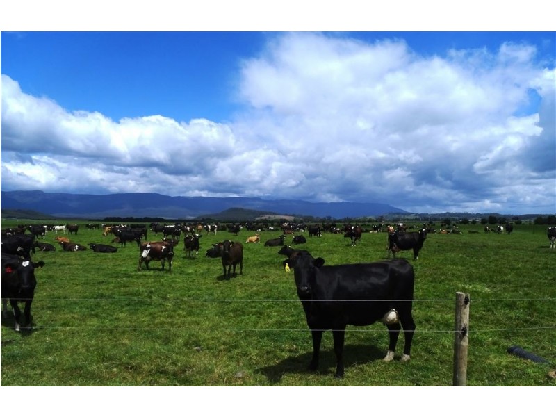 728 Montana Road, Montana TAS 7304