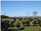 600 Mella Road, Smithton TAS 7330