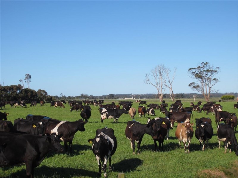 600 Mella Road, Smithton TAS 7330