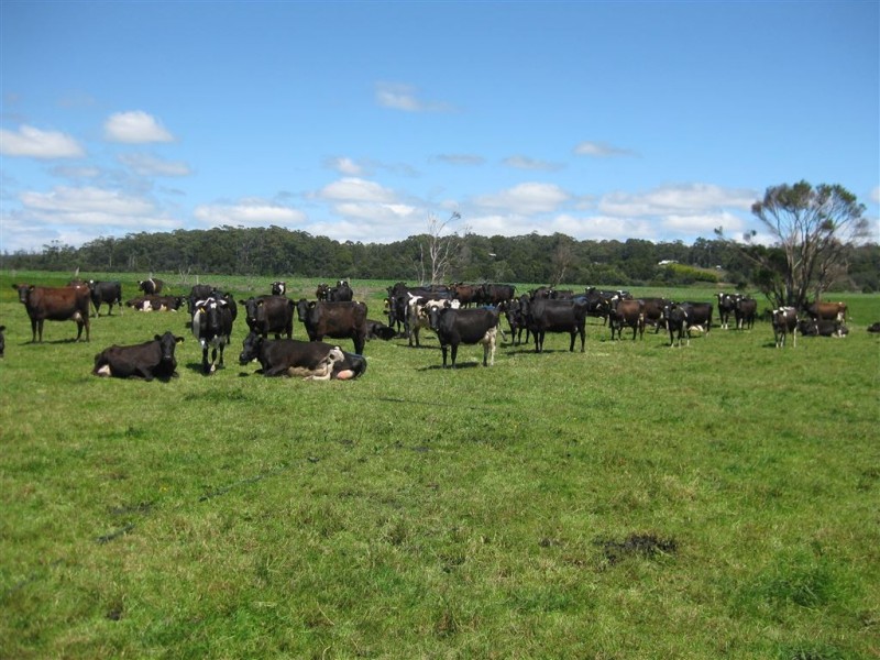 600 Mella Road, Smithton TAS 7330