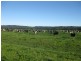 140 Jaegers Road, Roger River TAS 7330