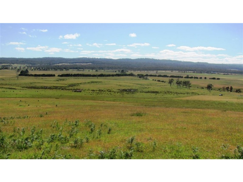 1019 Dalrymple Road, Mount Direction TAS 7252