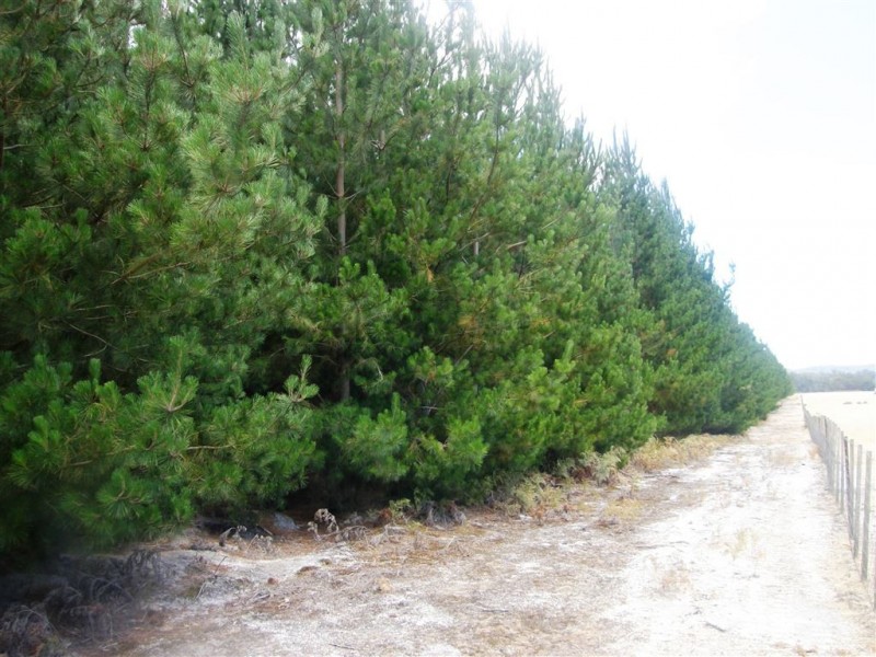 . Bridport Road, Jetsonville TAS 7260