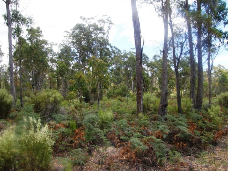 . Bridport Road, Jetsonville TAS 7260