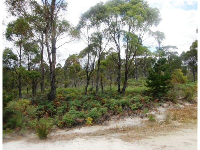 . Bridport Road, Jetsonville TAS 7260