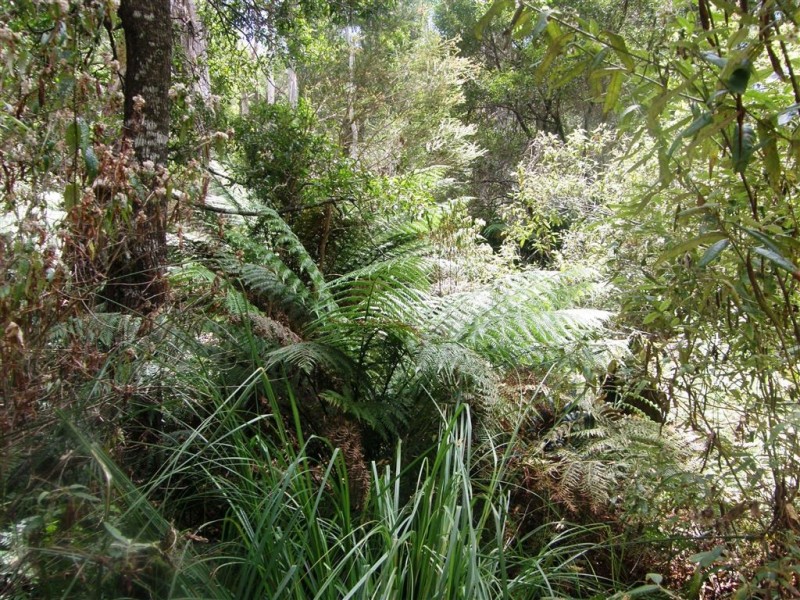 . Bridport Road, Jetsonville TAS 7260