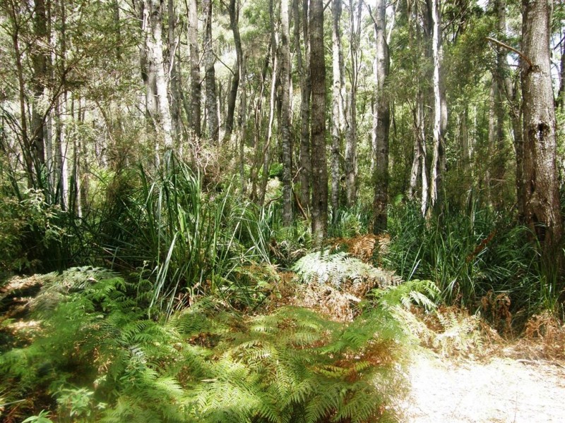 . Bridport Road, Jetsonville TAS 7260