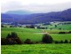 33842 Tasman Highway, Tulendeena TAS 7260