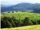 33842 Tasman Highway, Tulendeena TAS 7260