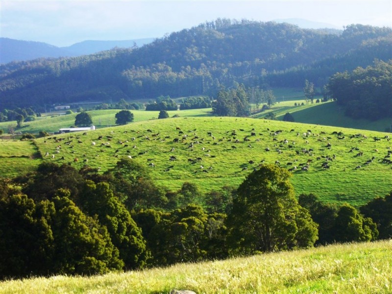 33842 Tasman Highway, Tulendeena TAS 7260