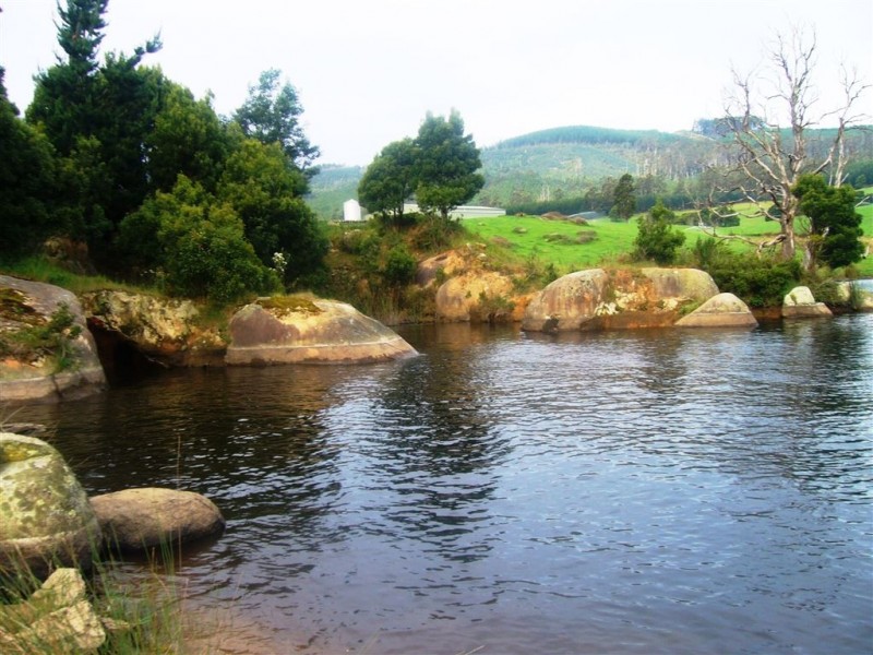 33842 Tasman Highway, Tulendeena TAS 7260