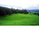33842 Tasman Highway, Tulendeena TAS 7260