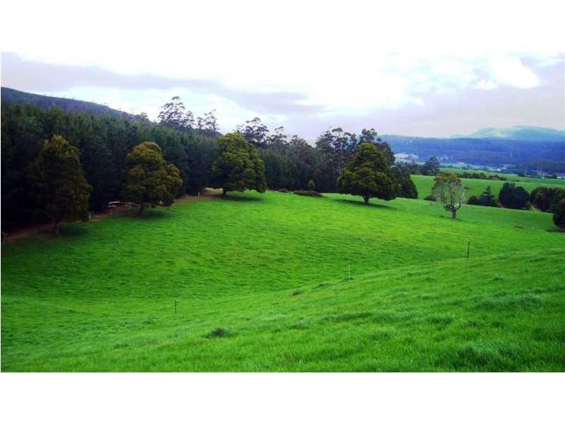 33842 Tasman Highway, Tulendeena TAS 7260