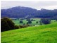 33842 Tasman Highway, Tulendeena TAS 7260