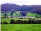 33842 Tasman Highway, Tulendeena TAS 7260