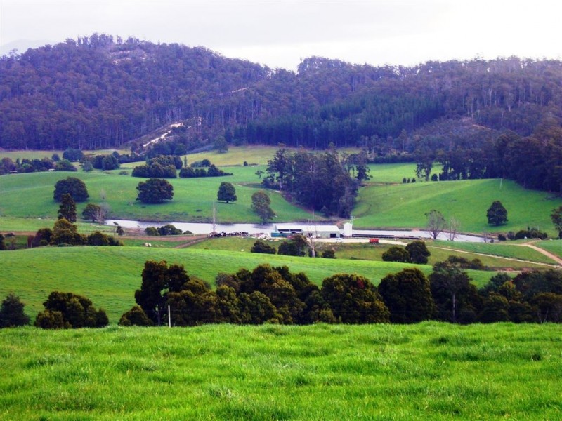 33842 Tasman Highway, Tulendeena TAS 7260