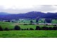 33842 Tasman Highway, Tulendeena TAS 7260
