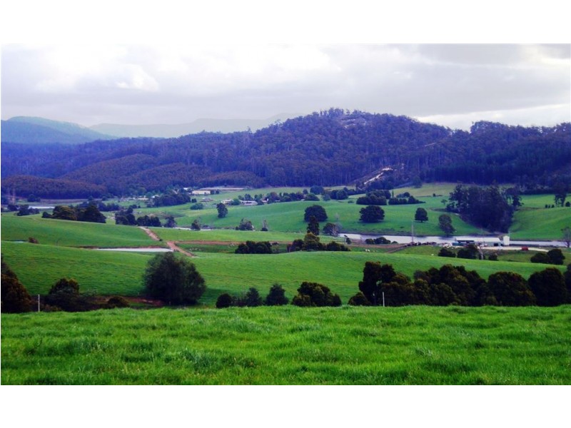 33842 Tasman Highway, Tulendeena TAS 7260