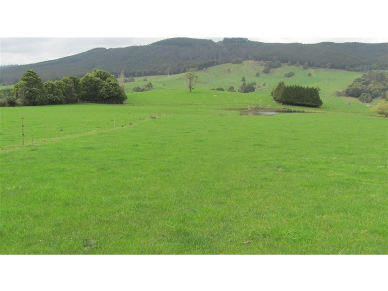 33842 Tasman Highway, Tulendeena TAS 7260