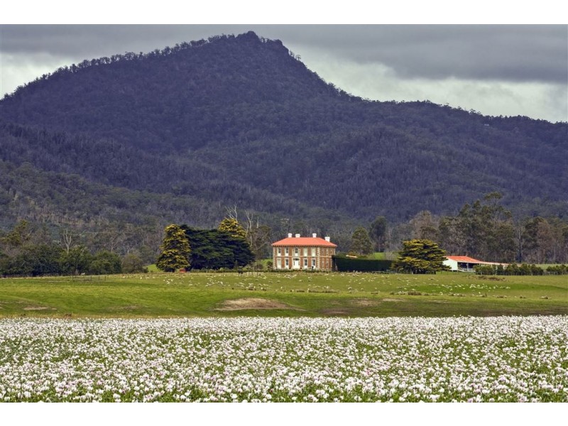 22464 Tasman Highway, Falmouth TAS 7215