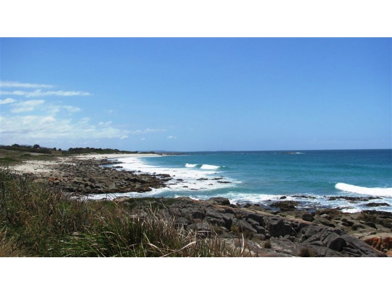 22464 Tasman Highway, Falmouth TAS 7215