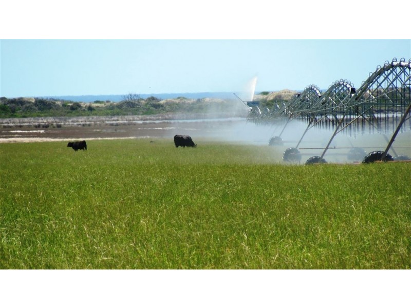 22464 Tasman Highway, Falmouth TAS 7215