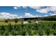 265 Tarleton Road, Tarleton TAS 7310