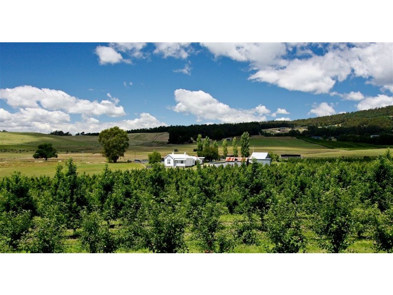 265 Tarleton Road, Tarleton TAS 7310