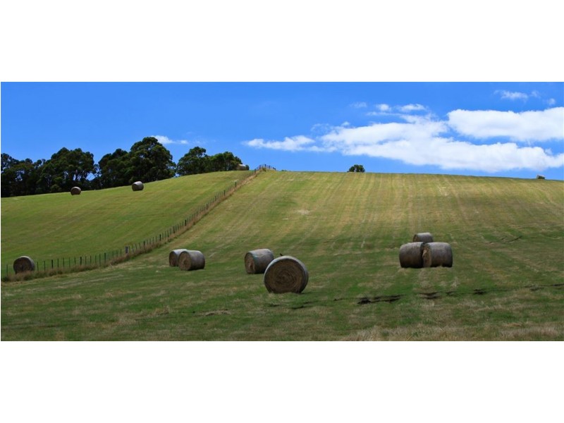 265 Tarleton Road, Tarleton TAS 7310