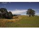 1915 Sheffield Road, Barrington TAS 7306