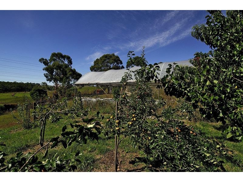 1915 Sheffield Road, Barrington TAS 7306
